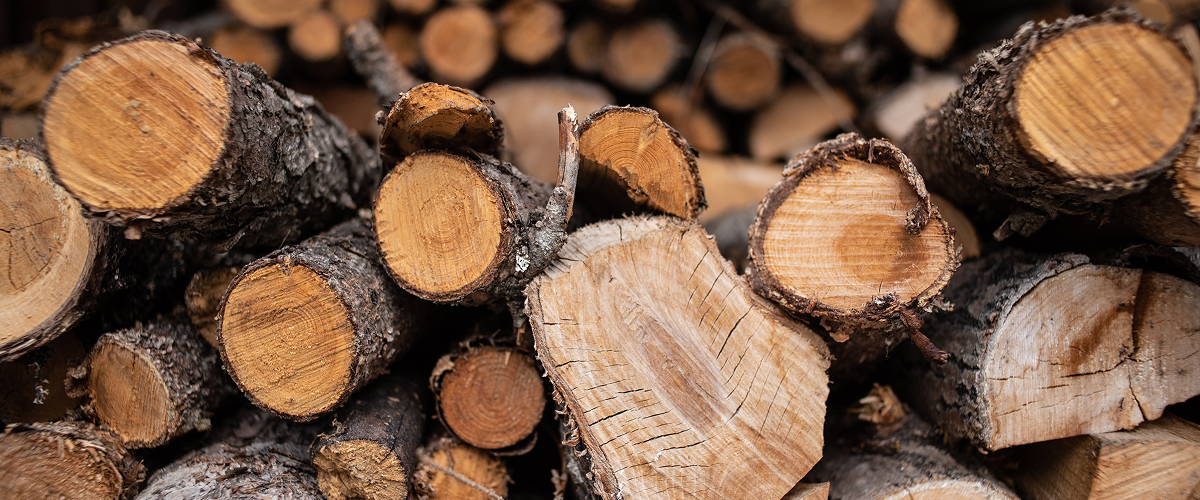 bûches densifiées