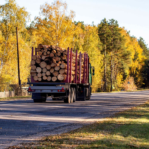 camion grumes